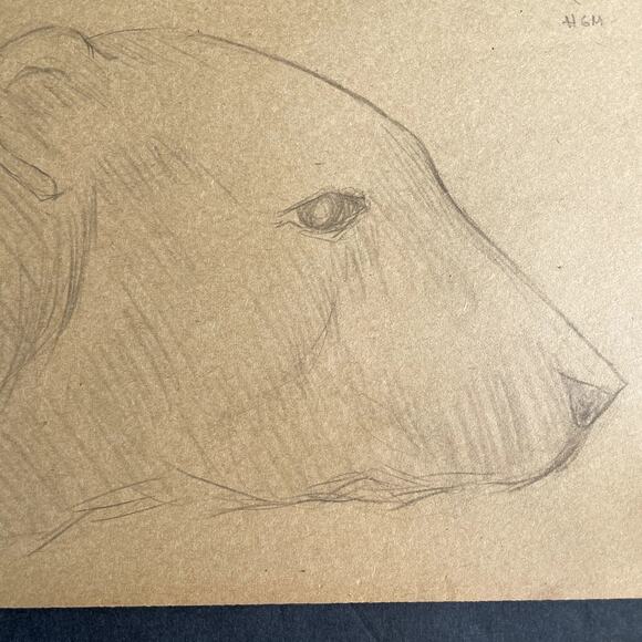 Vintage Original Polar Bear Study Pencil Sketch HGM - Picture 6 of 6
